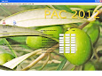 PAC 2013