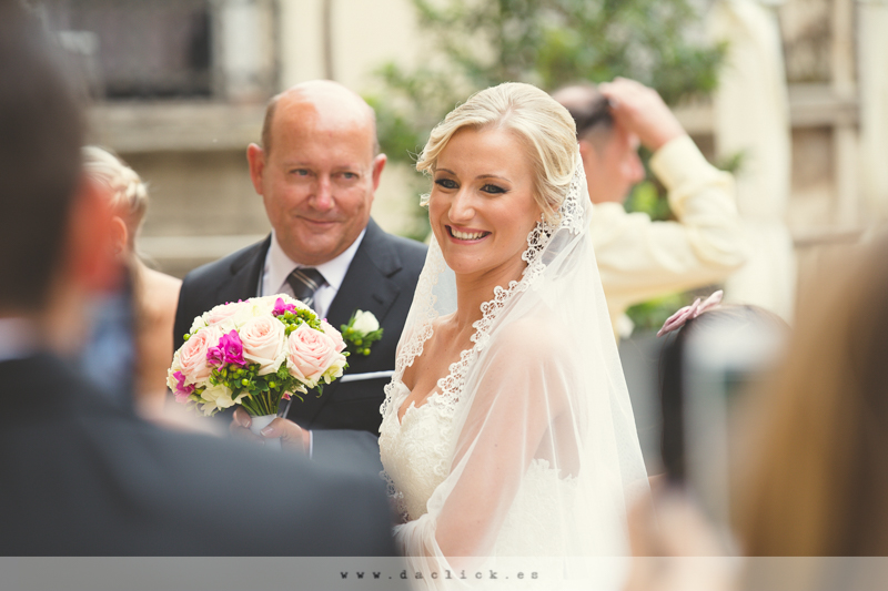 Carruaje de Caballos Alicante