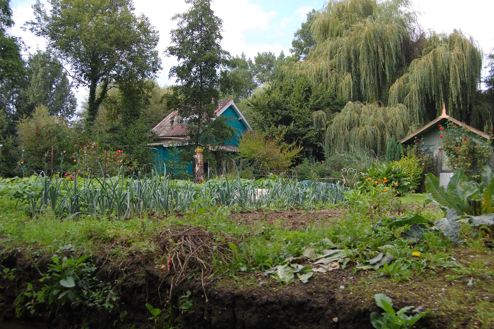 The Floating Gardens of Amiens My first trip along the floating gardens