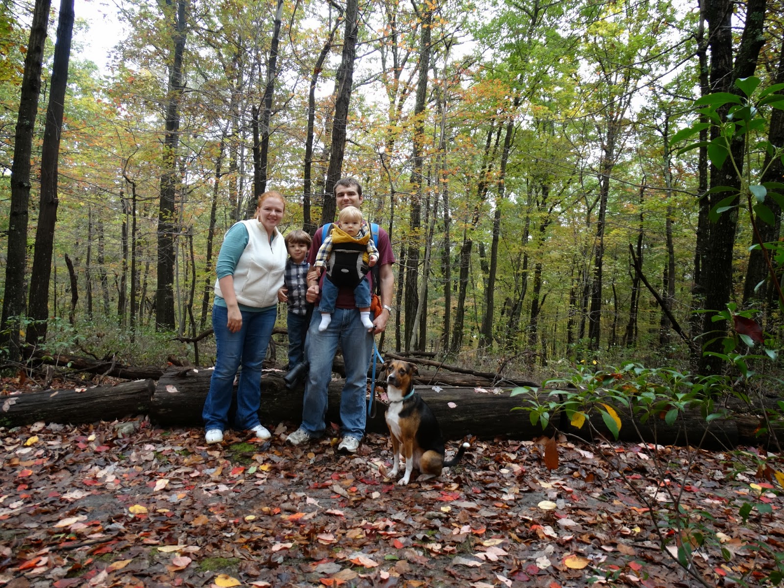 2304 Miles Rocky Gap State Park