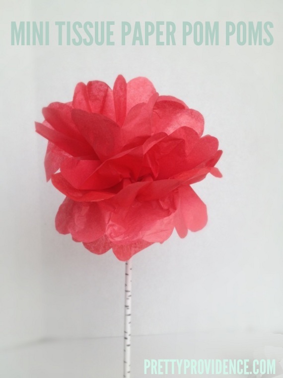 Mini Pom Pom Centerpiece Pretty Providence