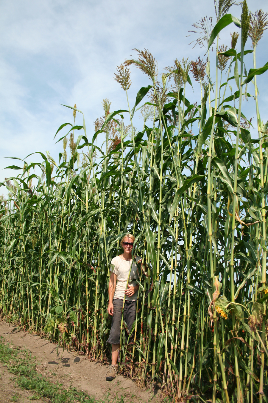 Tempel Farms Organics CSA Week 13