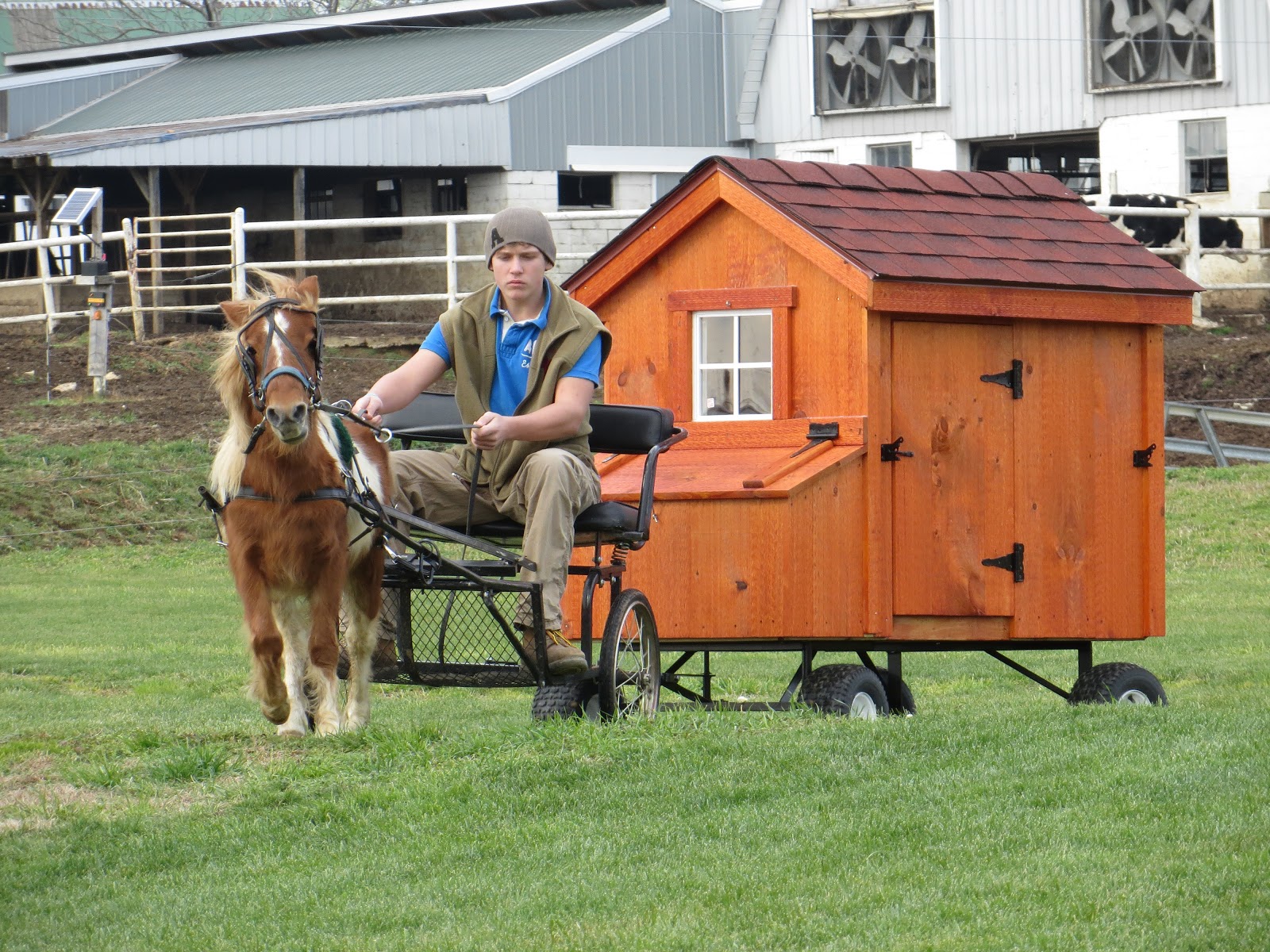 NEW Backyard Chicken Hutch Video