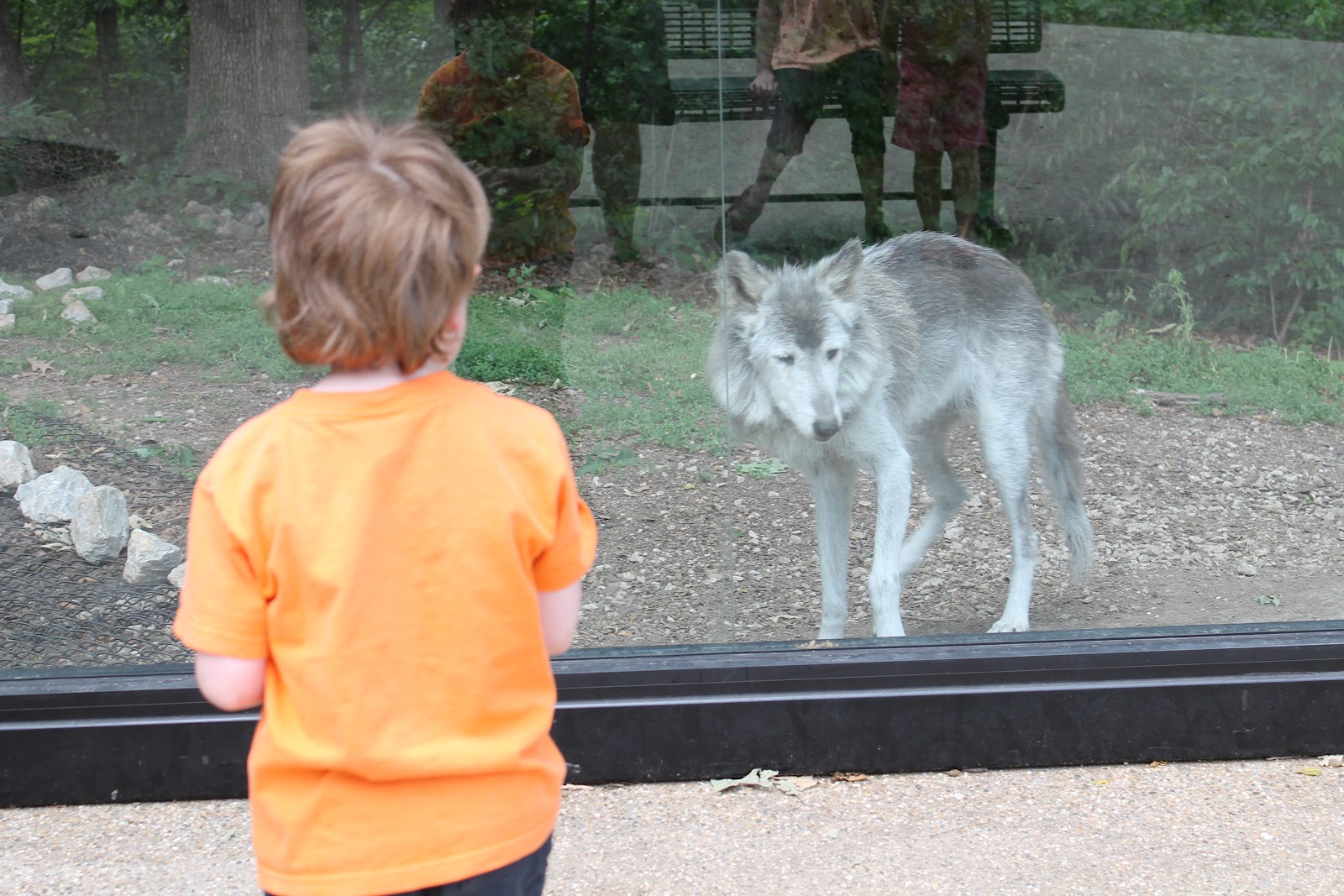 Hoorahoopti Away Scovill ZooDecatur, IL