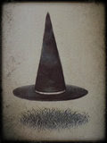 The Pointy Hat