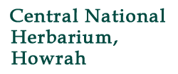 Central National Herbarium, Howrah • India