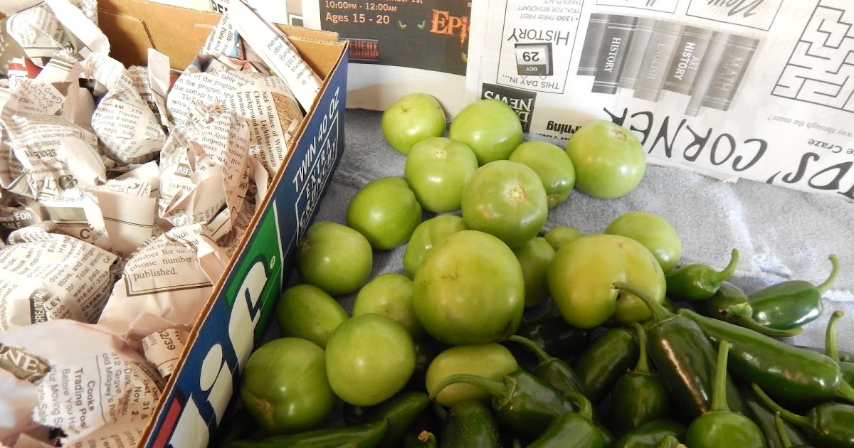 Thoughts from Frank and Fern It Works! Ripe Tomatoes in November