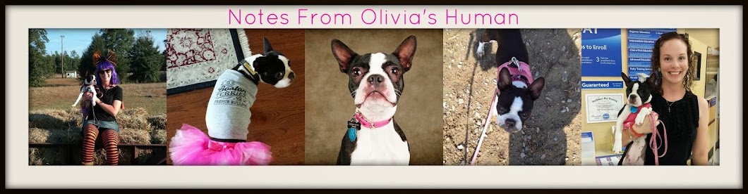 Notes From Olivia's Human