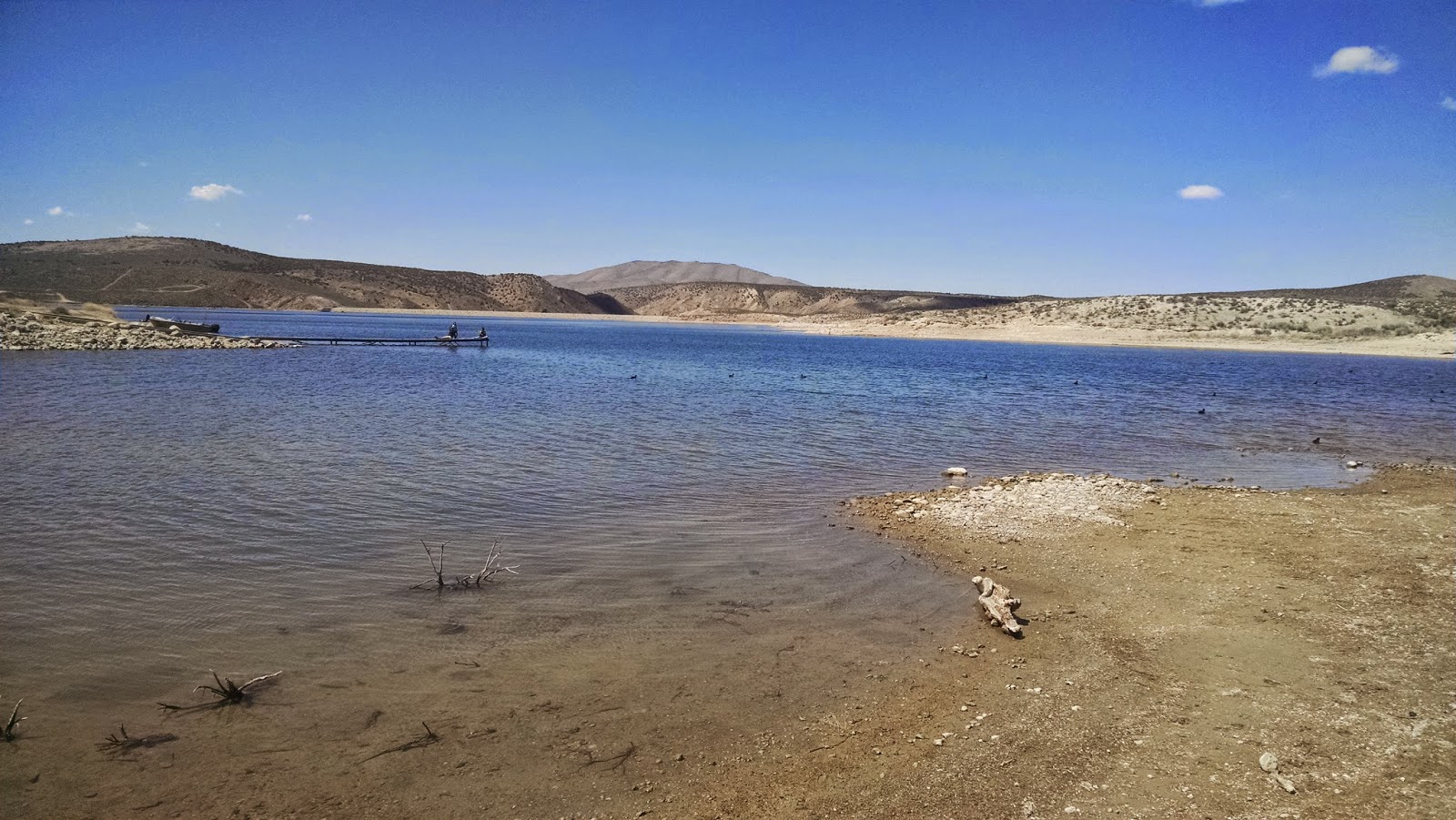 Running on Eddie South Fork Reservoir Elko Nevada