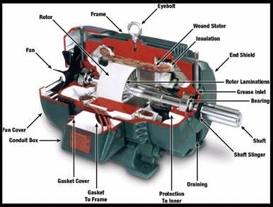 Top11information hayward electric motor wiring diagram 