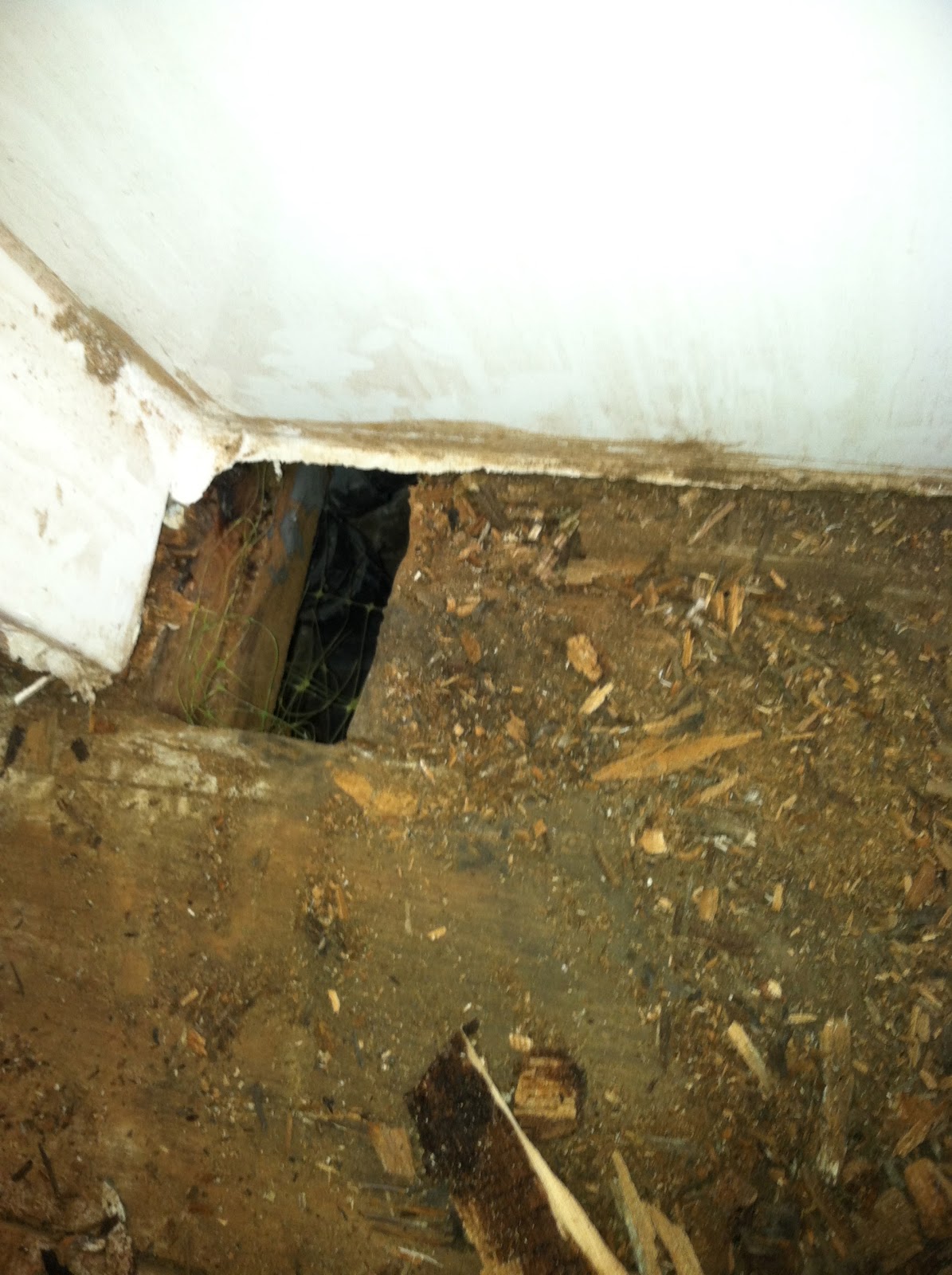 Consider It Done Construction Bathroom Dry Rot Repair