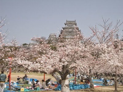 HANAMI