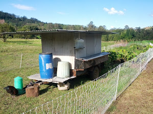 Chicken Tractor, Main Crop