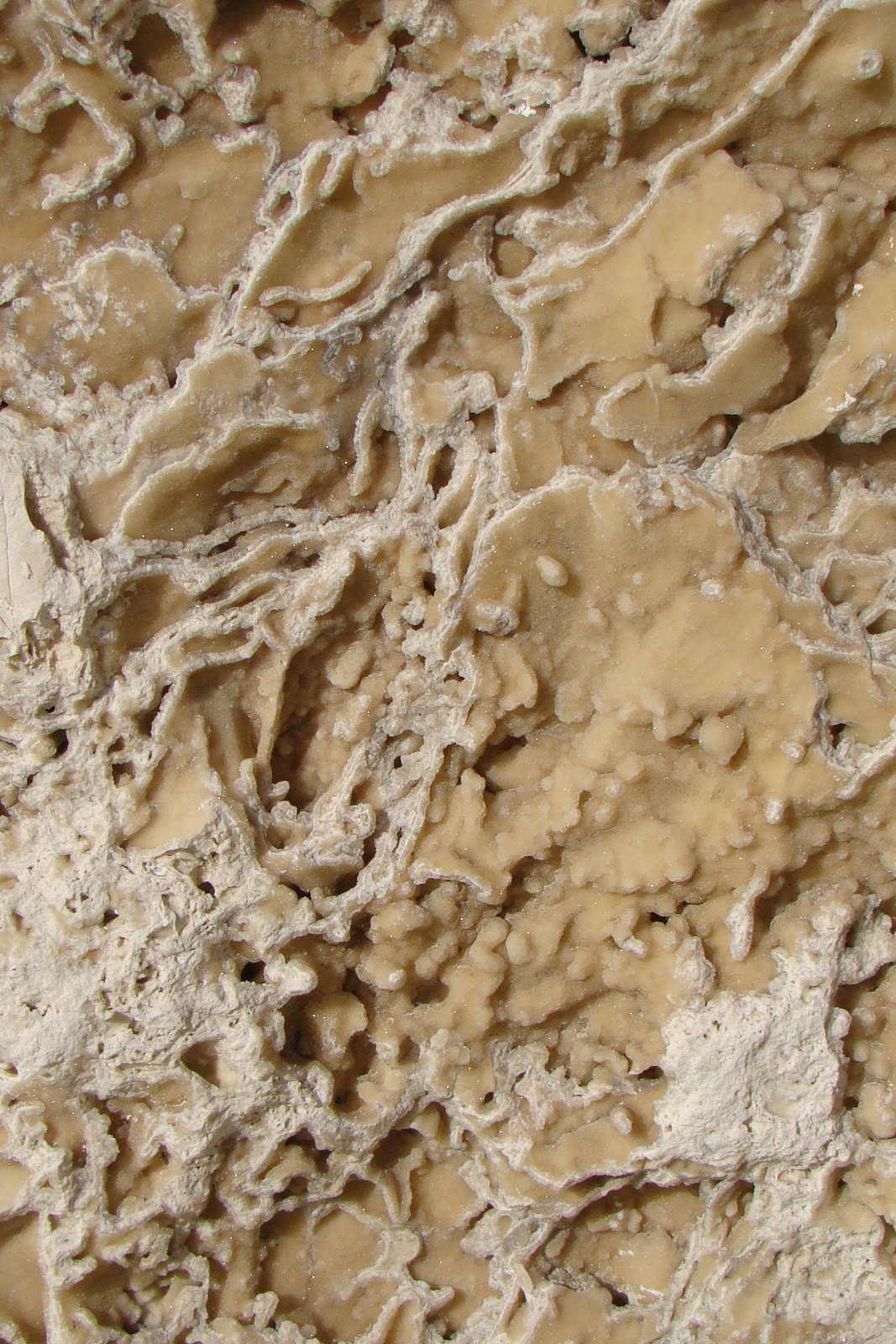 Artwork of Tobias White Texture Hunter Act 1