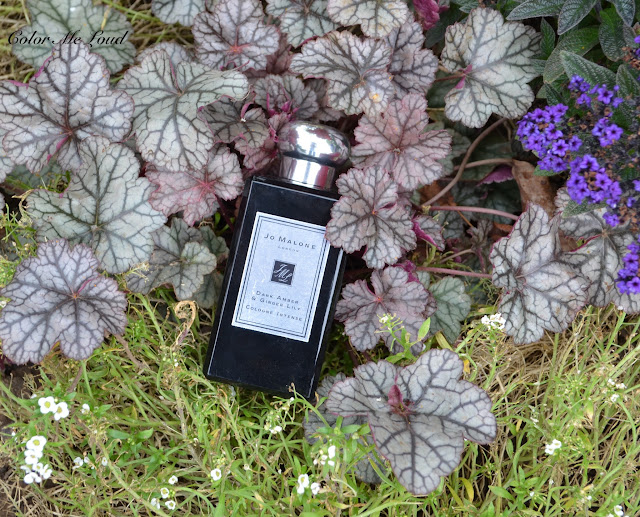 Jo Malone London Dark Amber & Ginger Lily Cologne Intense Review
