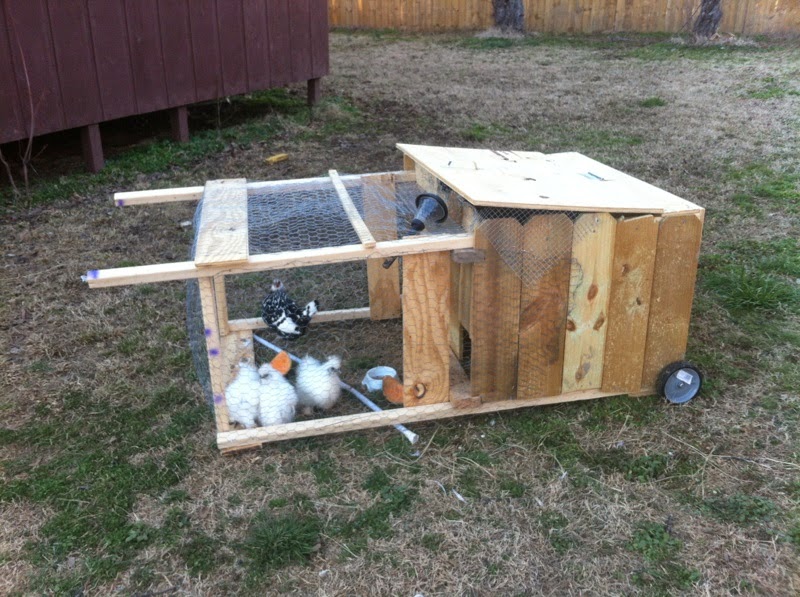 Enlightenment My Cheap Chicken Tractor
