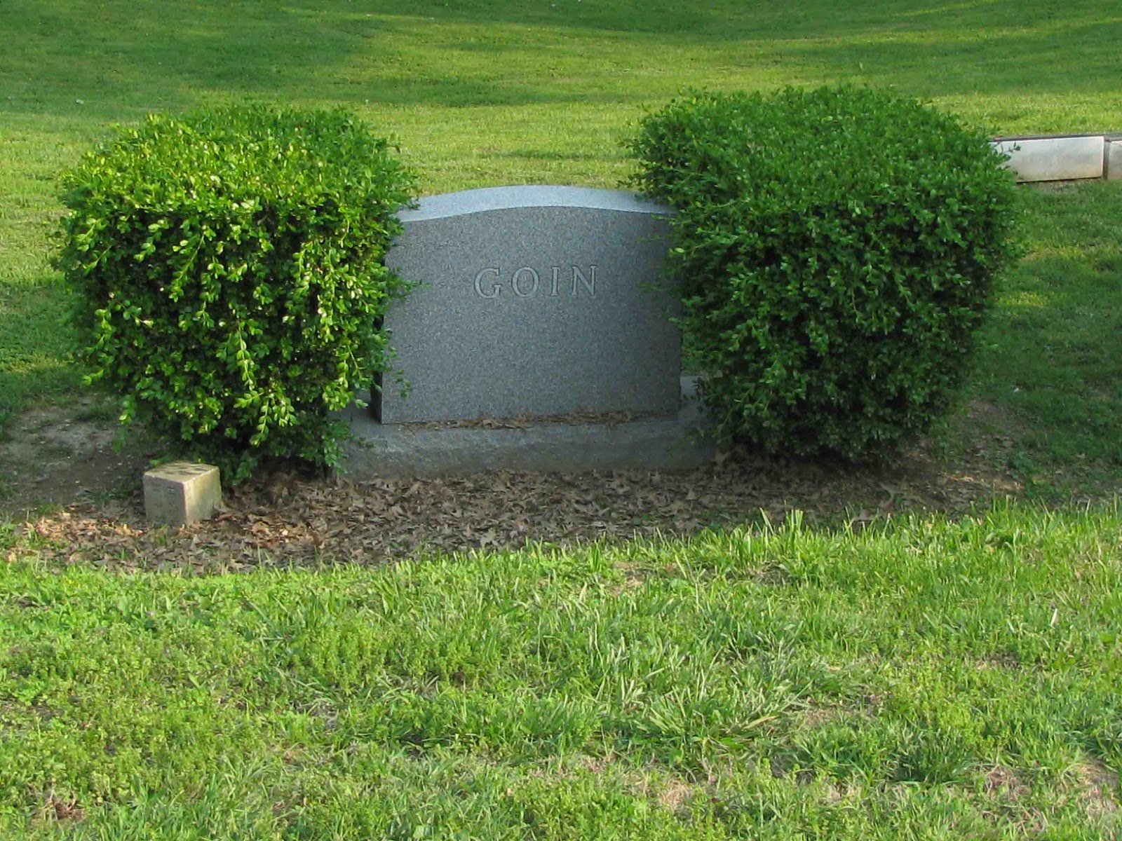 A Grave Interest Serene and Evergreen Cemeteries Allowing Plants