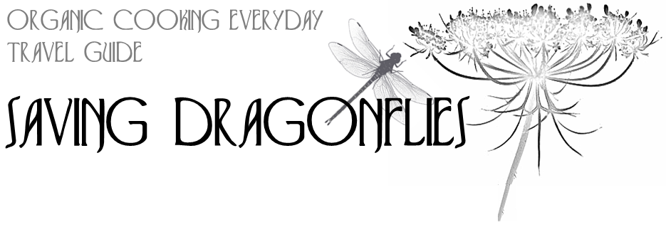  Saving Dragnonflies