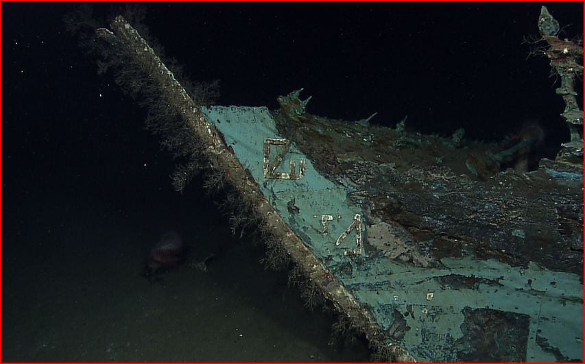 The Treasure Beaches Report Direct From Florida's Treasure Coast.: 5/20 ...