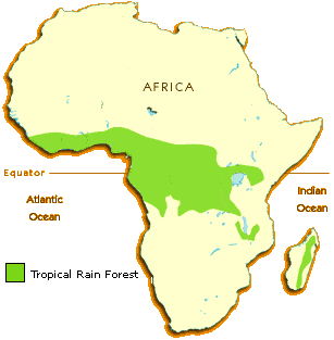 Image result for african rainforest map