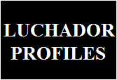 LUCHADOR PROFILES