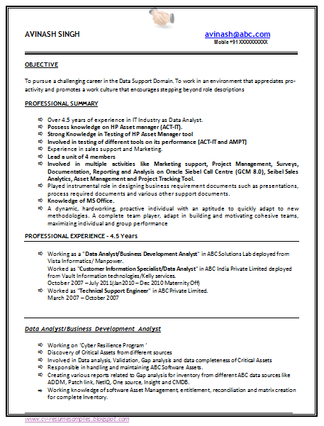 professional resume format for experienced free download