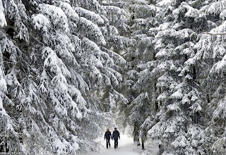  صور رائعة للثلوج تزور ألمانيا باكراً  1+%2823%29