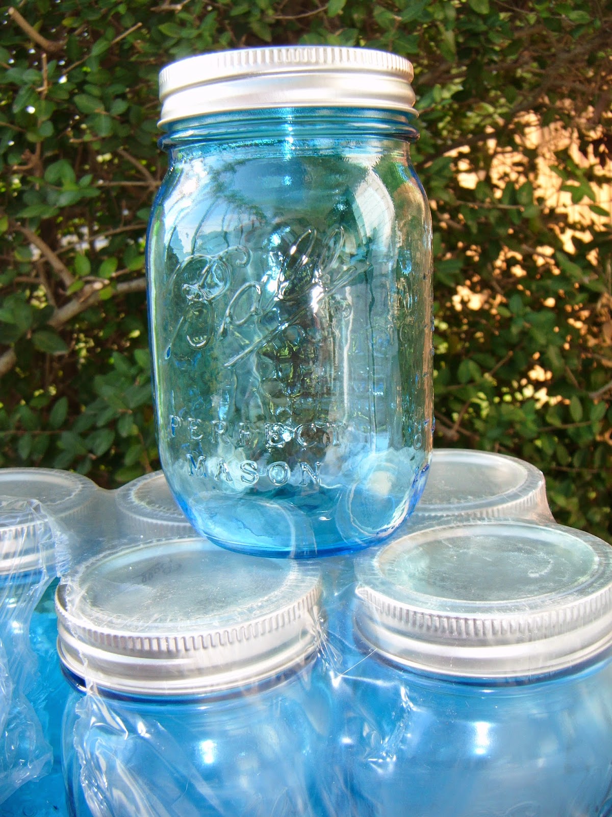 The ABCD Diaries Get Canning with Ball® Heritage Jars and Canning