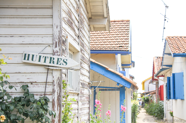 le cap-ferret,l'herbe,village ostréicole,roadtrip,beach shack,cabanons,cabanes en bois,bassin d'arcachon