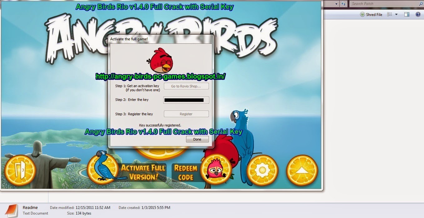 angry birds space v2.0.0 activation key