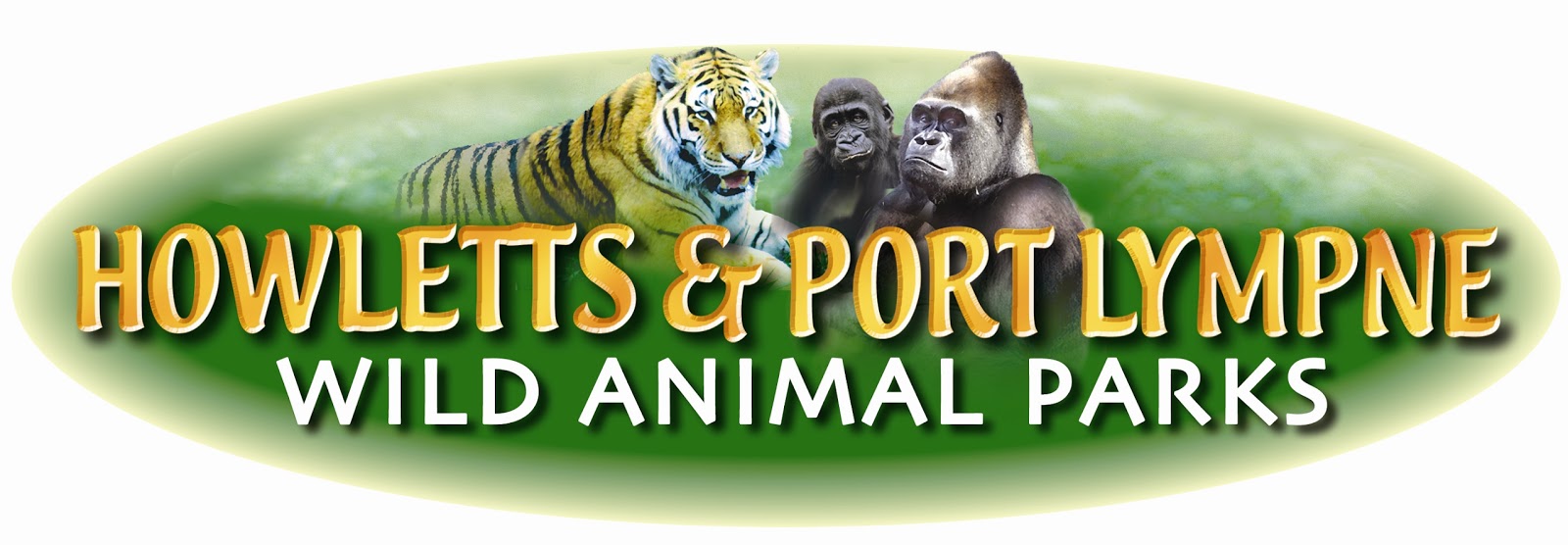 Zoo Jobs Howletts and Port Lympne Enrichment and