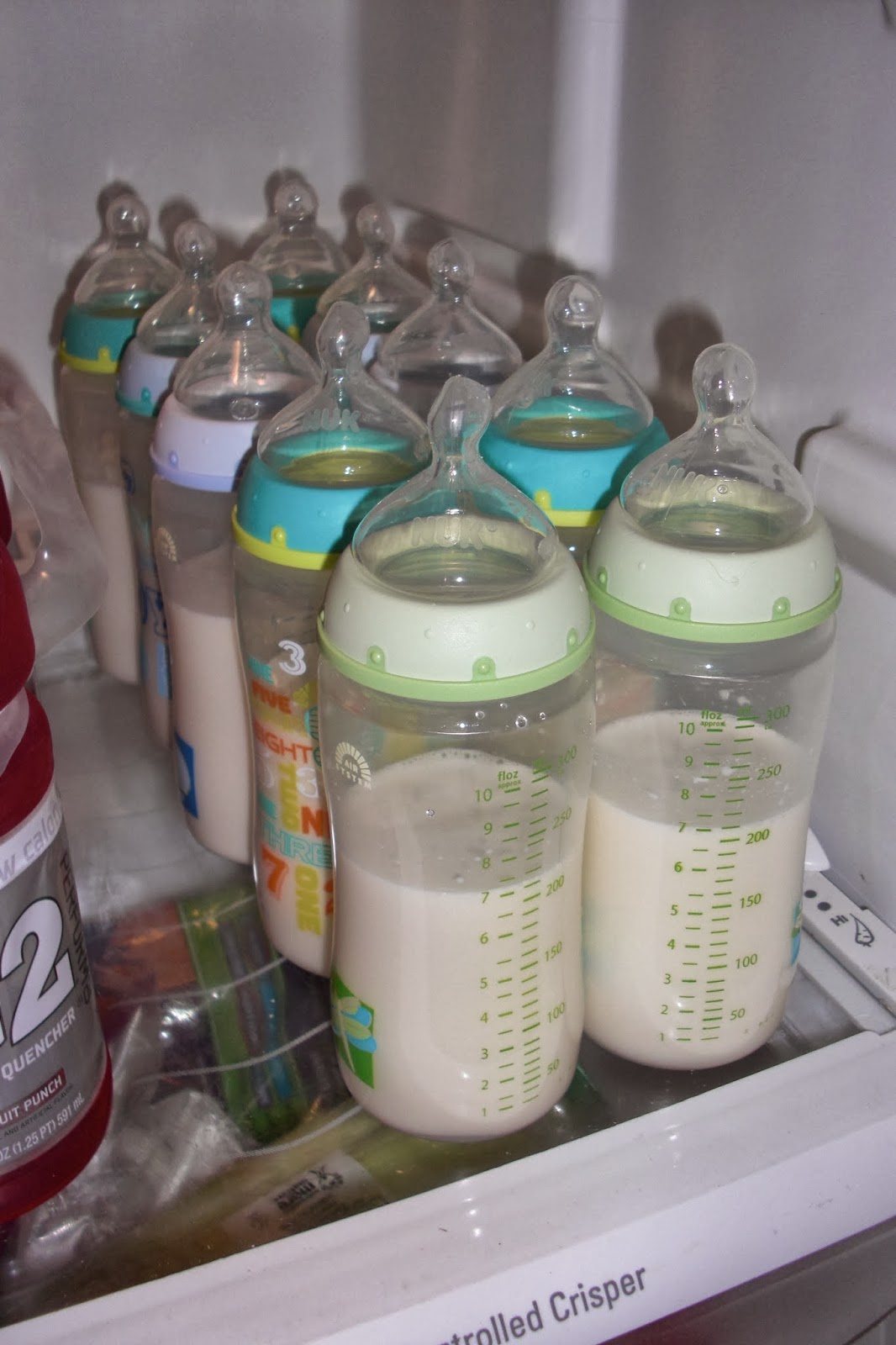 formula in the fridge