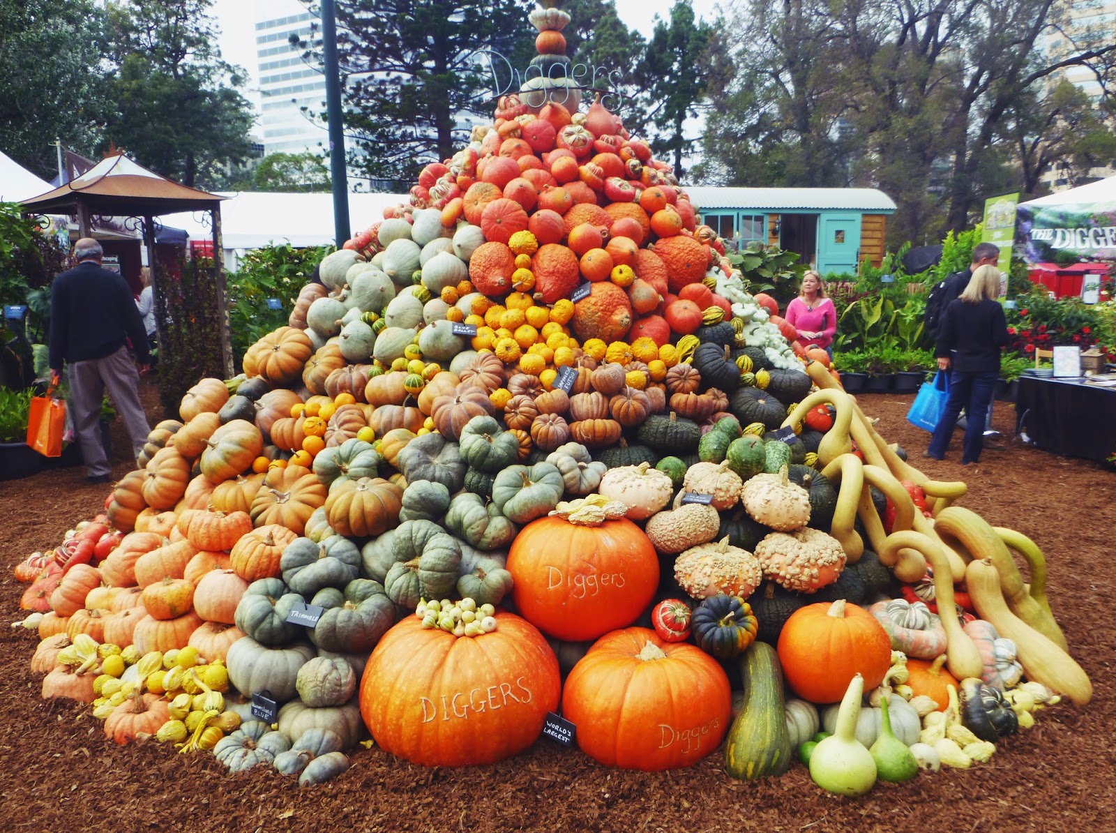 Diana's Green Table Edible Garden Organic Gardening Canberra April
