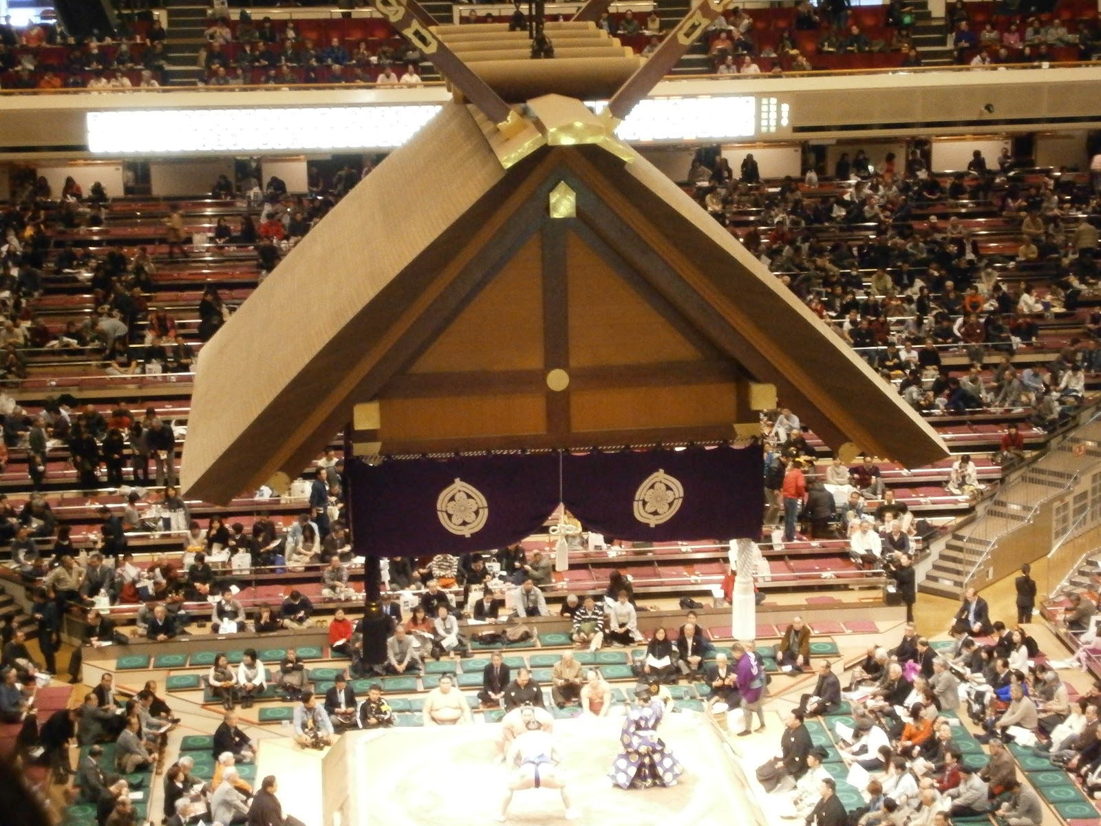 NEVER . STOP. EXPLORING. My First Day of Sumo Wrestling Tournament!