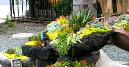 Rock garden for dry area | Backyards Click