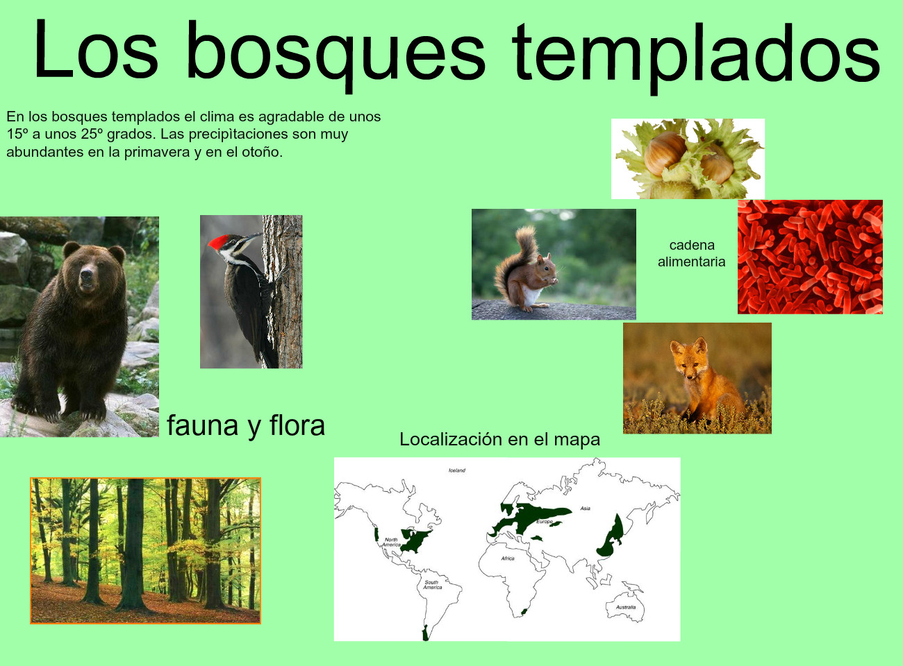 cadena trofica bosque templado pin plantas bosques templados de la sierra norte oaxaca on cadena trofica bosque templado pin plantas bosques templados de la sierra norte oaxaca on