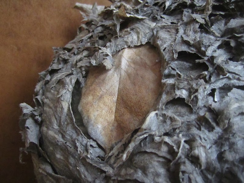 Stirring Up A Nest Knick of Time