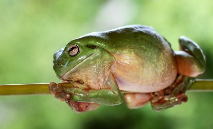SNIPPITS AND SNAPPITS: SEVEN REASONS TO BRACE FOR IMPACT