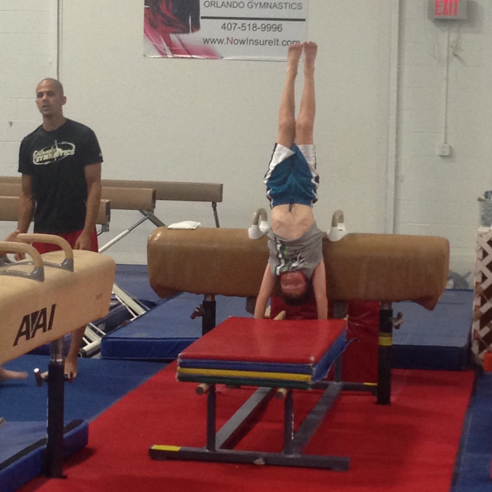 Shanna's Adventures Orlando Gymnastics A Quality Gymnastics Program
