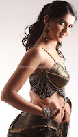 Deeksha, seth, sexy, in, saree, hot, gallery