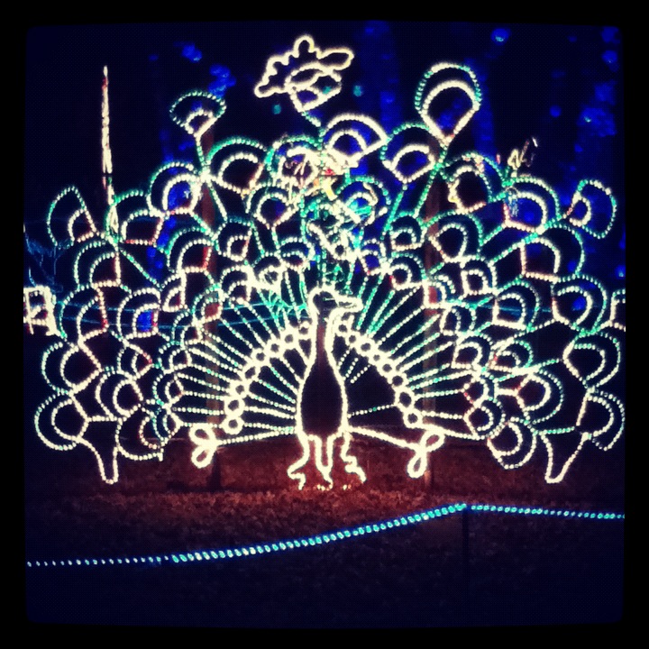 The Blue Room Merry Christmas!