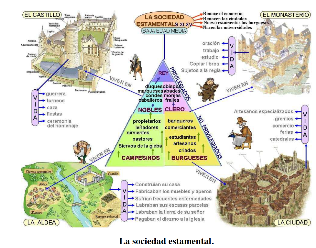 NUEVA ORGANIZACIÓN SOCIAL