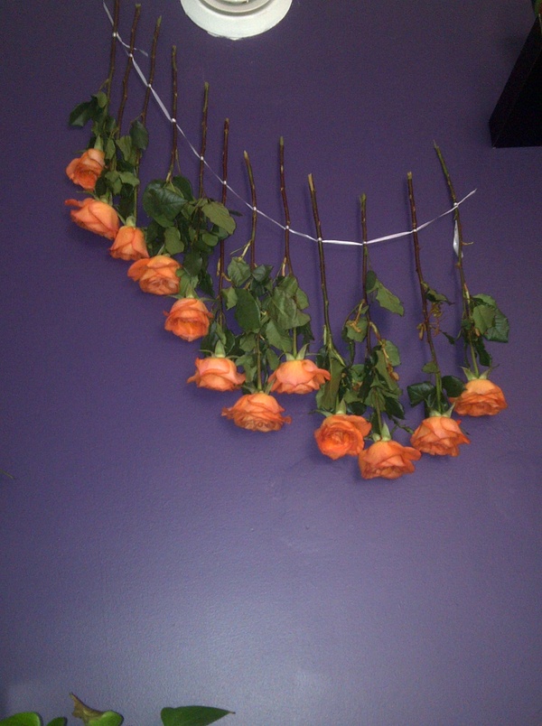 Jade Made It! Hang Dry Flowers