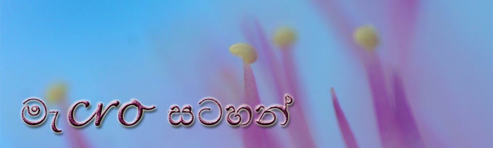 මැක්‍රෝ සටහන්