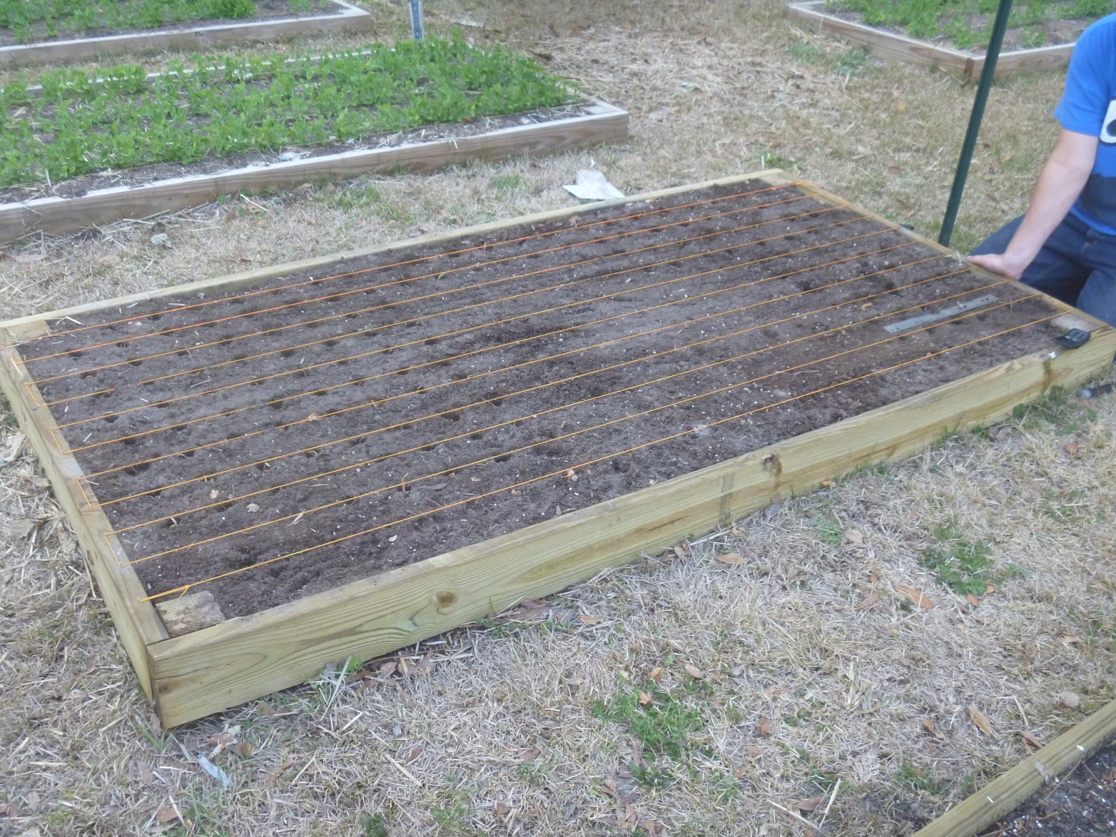 The Corray's Home Planting Onion Sets