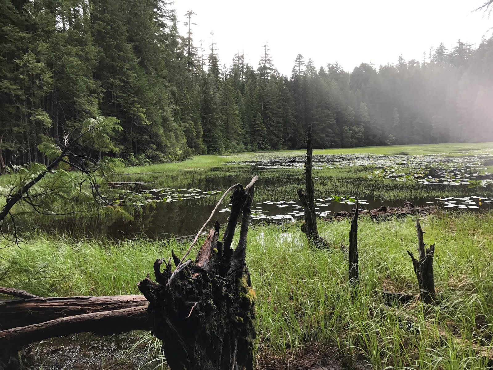 Bluff Creek Project All Roads Open!! Bluff Creek day trip Sunday 6102017