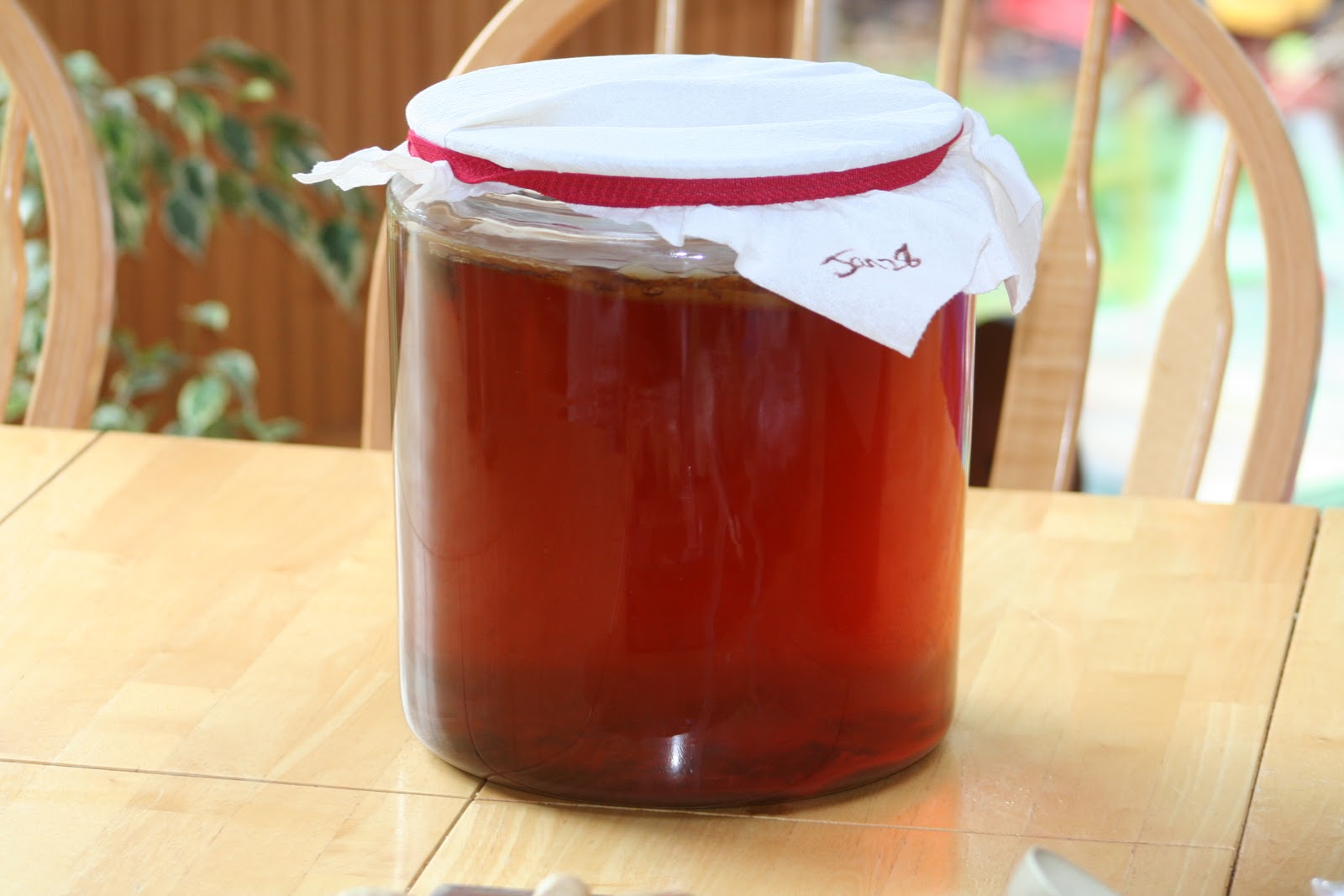 Budget Paleo...Made Easy How to Make Your Own Kombucha