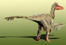 Dromaeosaurus Dromaeosaurus