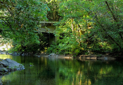 A forest bridge on an Oregon backroad