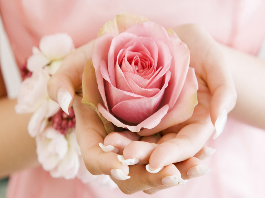 WallpaperfreekS: Happy Rose Day Wallpapers 1024X768